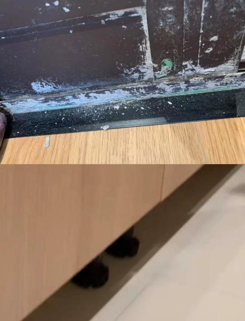 家政服务一天多少钱?