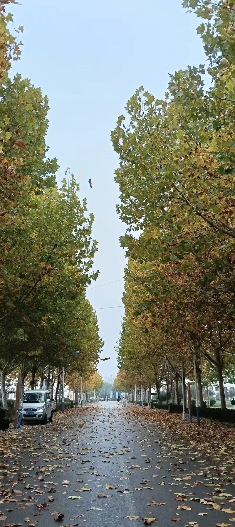 菏泽家政职业学院怎么样？值得报考吗？