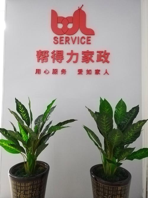 “如何选择靠谱的家政中介服务？这5点要牢记”