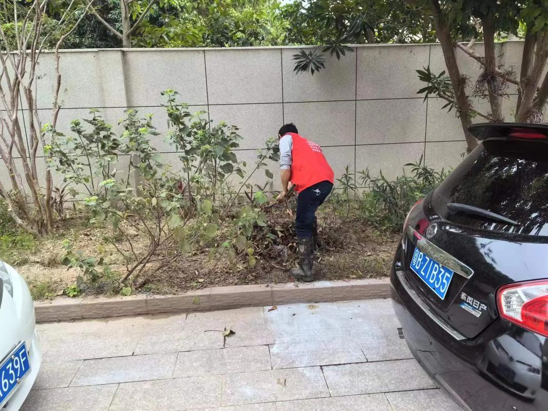 家政公司的经营范围包括哪些项目？