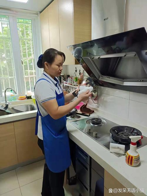 深圳家政公司招聘需要什么条件？