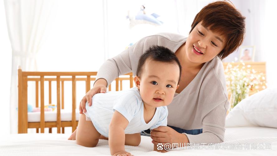 高新区家政服务哪家更靠谱？