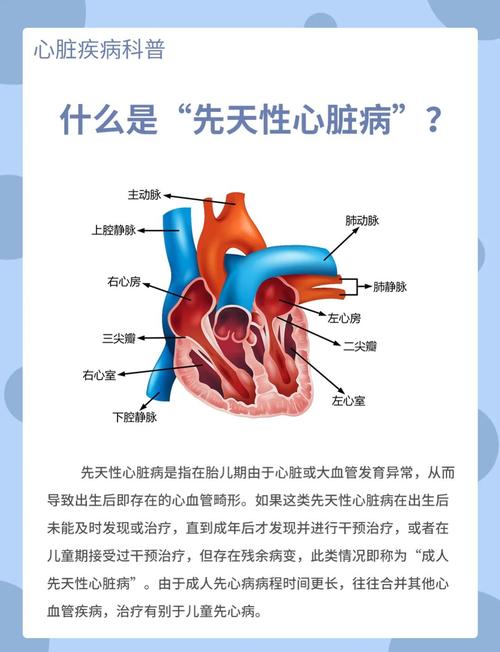 南昌家政服务哪家好？如何选择靠谱公司？